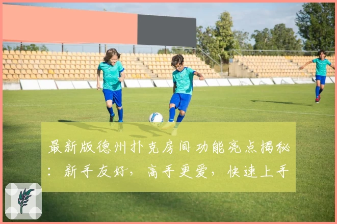 最新版德州扑克房间功能亮点揭秘:新手友好,高手更爱,快速上手必备指南