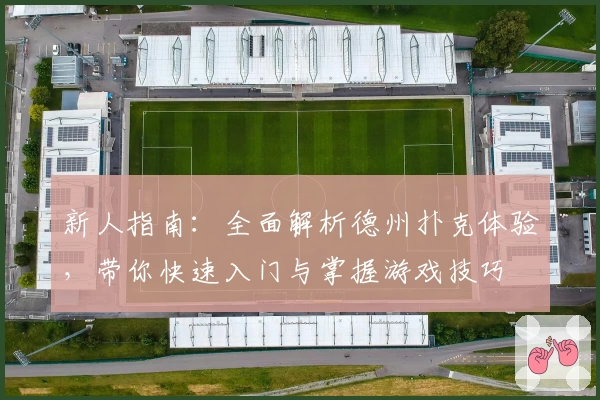 新人指南:全面解析德州扑克体验,带你快速入门与掌握游戏技巧