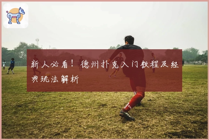 新人必看！德州扑克入门教程及经典玩法解析