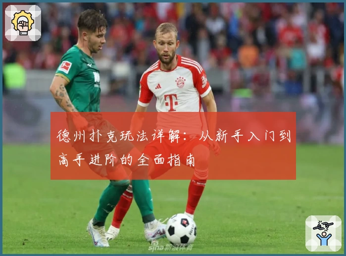 德州扑克玩法详解：从新手入门到高手进阶的全面指南