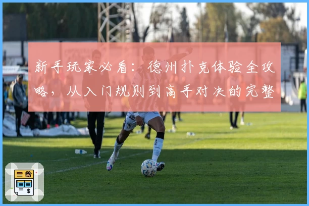 新手玩家必看:德州扑克体验全攻略,从入门规则到高手对决的完整指南
